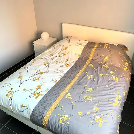 Emiel Centrum Met Garage *