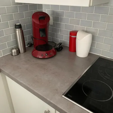 Emiel Centrum Met Garage Ostend